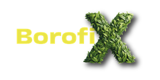 Borofix