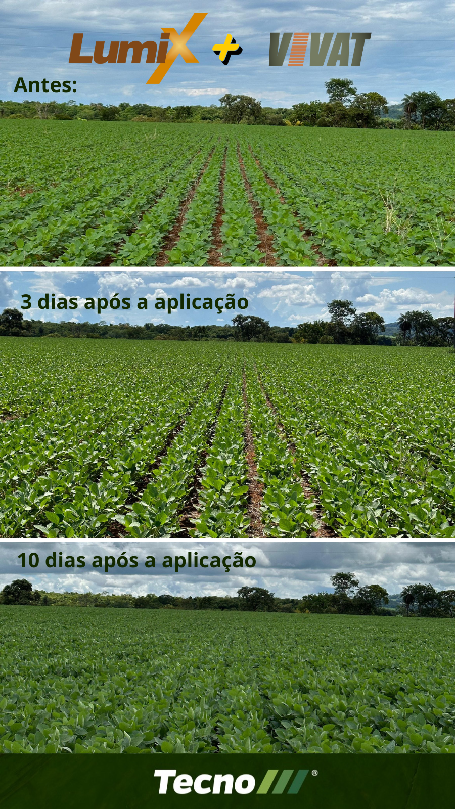 Registro de soja com Lumix e Vivat: antes da aplicação, aos 3 dias e aos 10 dias